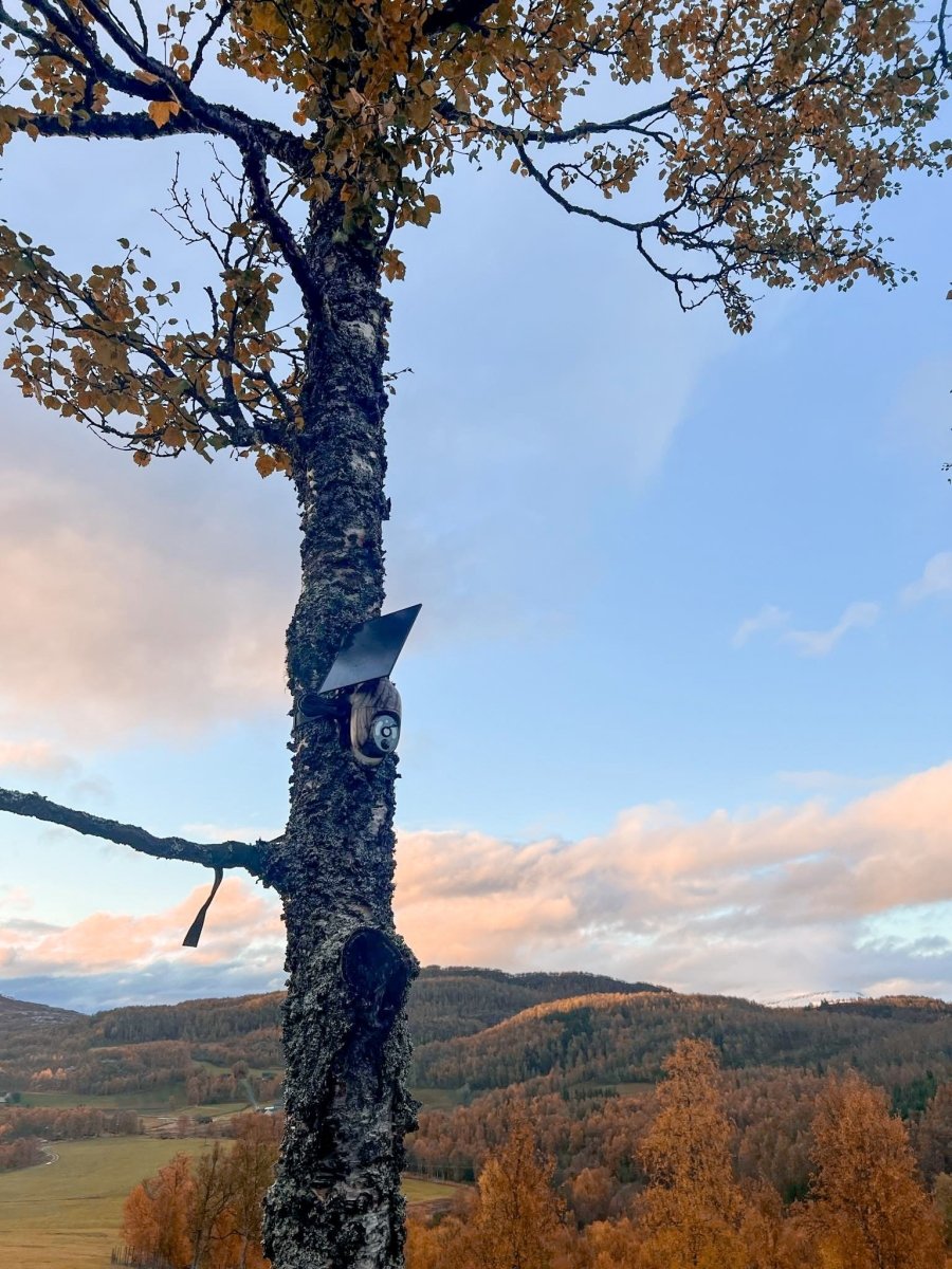 4G Viltkamera Roter/Tilt (inkl. minnekort) - Solcelle + Batteri - Scanvision