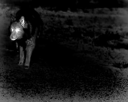 Blunith 35/64 Termisk Spotter m/avstandsmåler - Scanvision